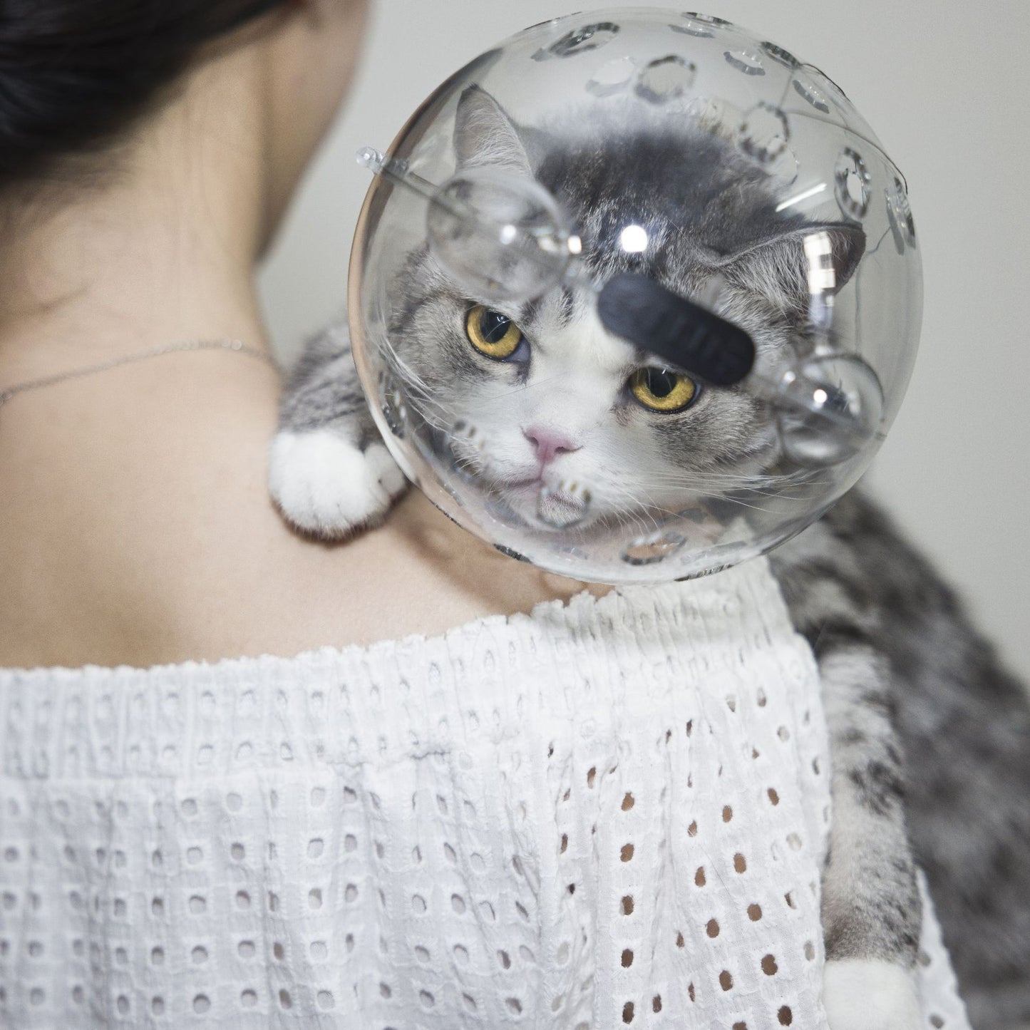 Adjustable Pet Safety Mask for Grooming