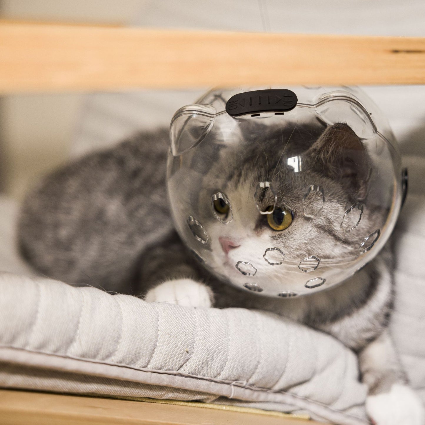 Adjustable Pet Safety Mask for Grooming